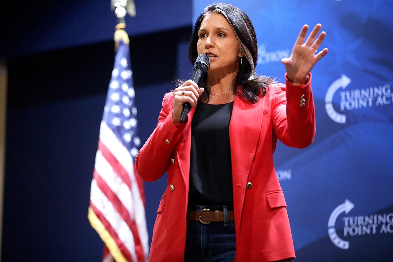 Syria expert explains why he 'wouldn’t share intelligence' with Tulsi