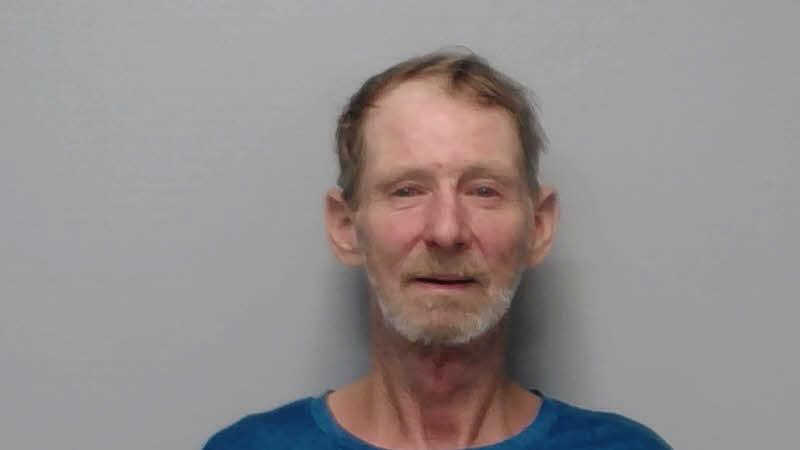Man charged in deadly hit-and-run of Troy professor pleads guilty