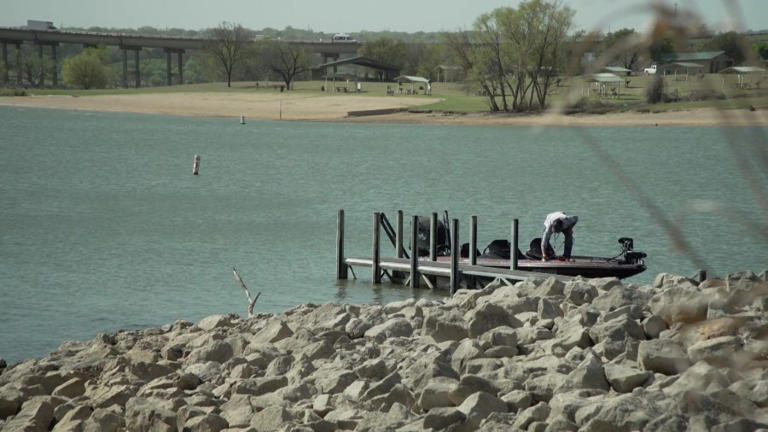 Zebra mussels eradicated from local drinking supply but survive winter