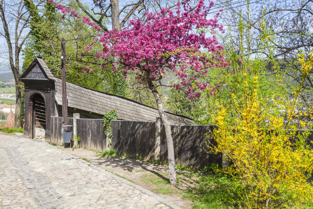20 medieval villages in Romania’s Transylvania