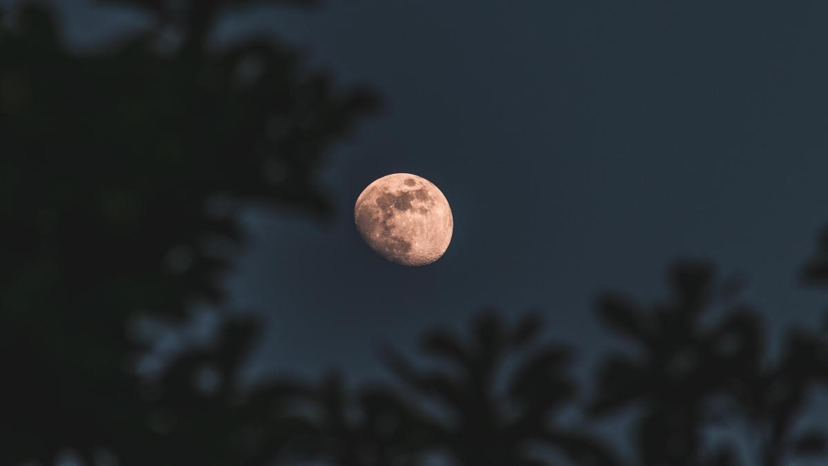 Luna llena enero 2025 Cuándo y cómo ver la Luna del Lobo, la primera del año