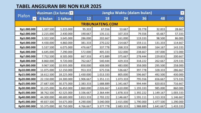Brosur Pinjaman BRI 2025: Non KUR dan KUR