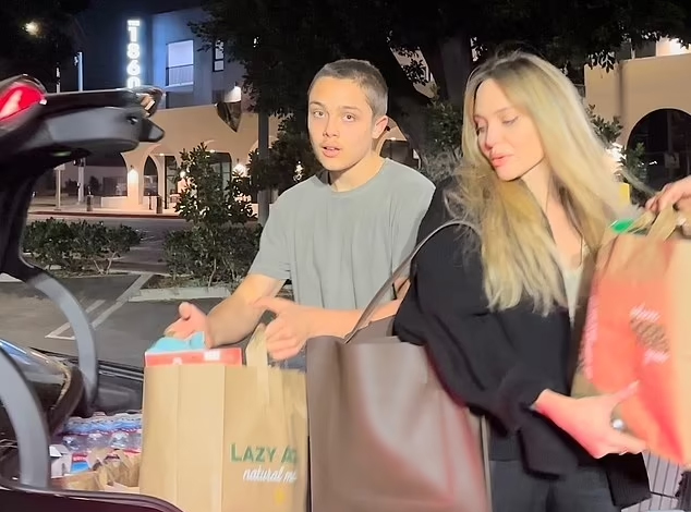 Angelina Jolie đón người thân đến ở giữa nạn cháy rừng Los Angeles