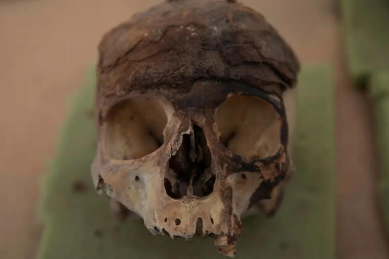 Cráneo hallado en Éfeso en 1929 no es de hermana de Cleopatra, sino de un niño