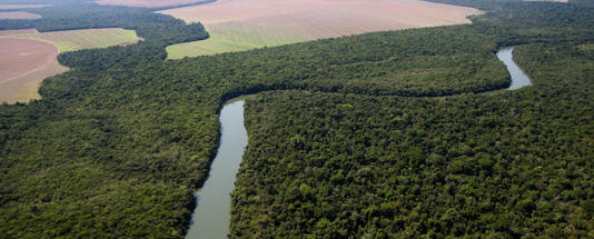 Lei abre brecha para aumento do desmatamento no Mato Grosso, afirmam ambientalistas Foto: Tiago Queiroz/Estadão