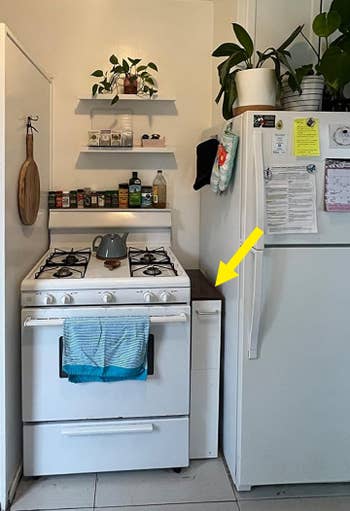 Cozy kitchen space with a gas stove, fridge, and plants. Shelves hold spices and bottles, creating a neat and functional cooking area