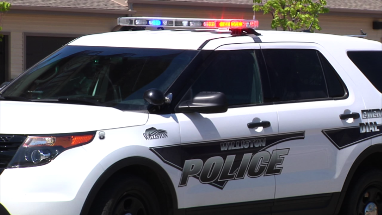 Williston police to host impound vehicle auction