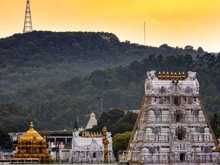 A quick guide to Tirupati: how to reach it, where to stay, and what to ...