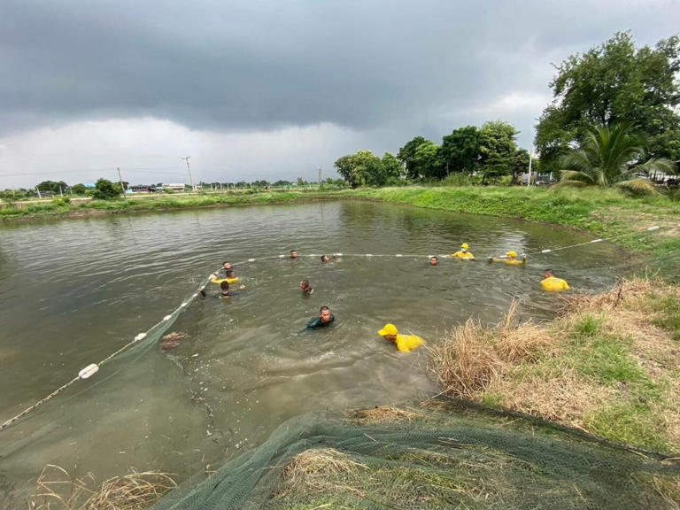 กรมประมงเดินหน้าเข้มจัดการปลาหมอคางดำ มั่นใจควบคุมสถานการณ์ได้