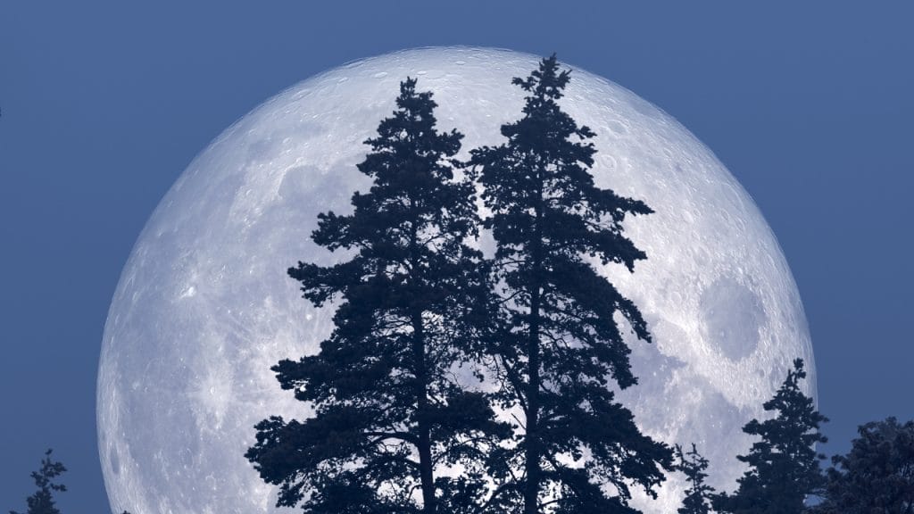 Luna llena de enero 2025 guía completa para disfrutar del esplendor de la Luna del Lobo