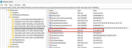 DhcpIPAdrdress String Value in the Registry Editor.
