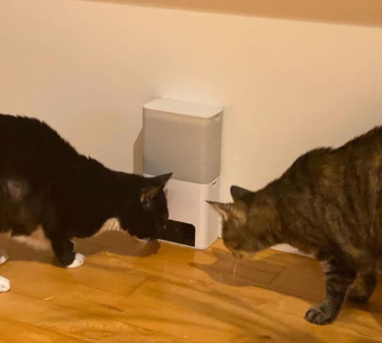 40 Cool Pet Inventions Bound To Make You The Envy Of Every Pet Parent ...