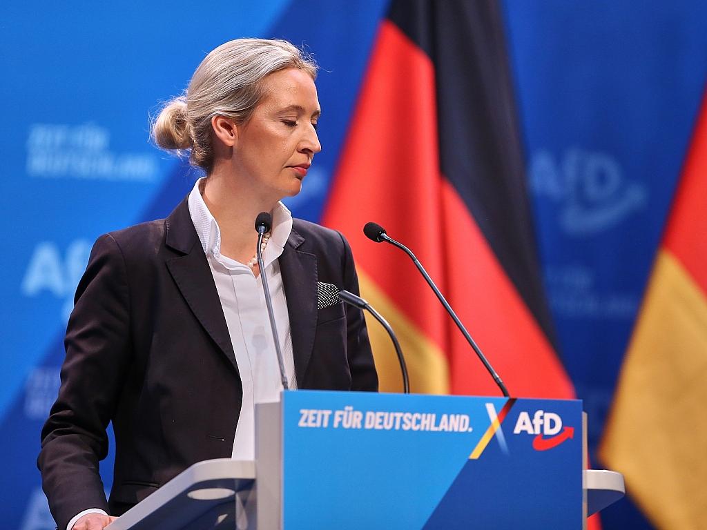 Ökonomen kritisieren AfD-Pläne zu Europa und Windkraft scharf