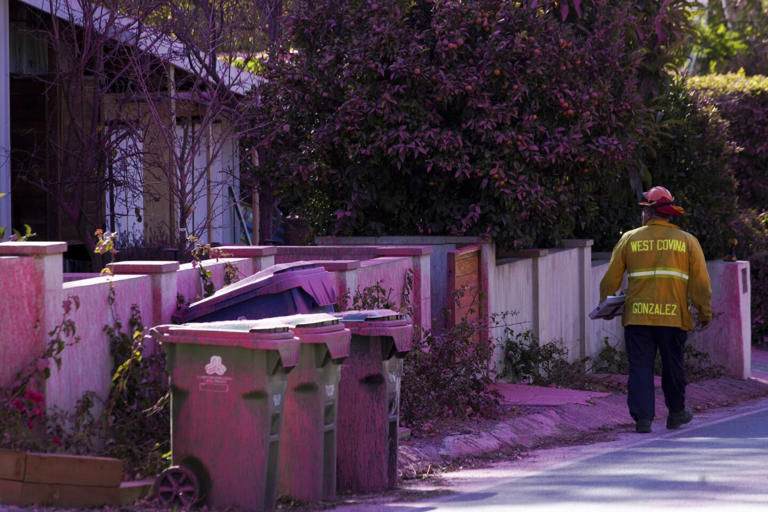 Un bombero observa cuidadosamente la zona donde se ha aplicado el polvo rosa para controlar el avance de los incendios forestales. / AP.