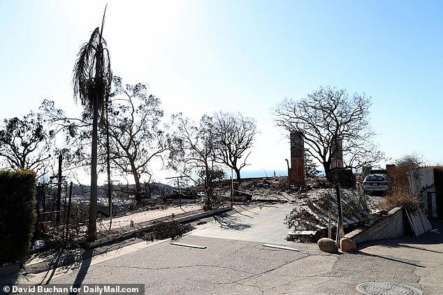 Nine-time NBA champion Steve Kerr's childhood home is reduced to rubble