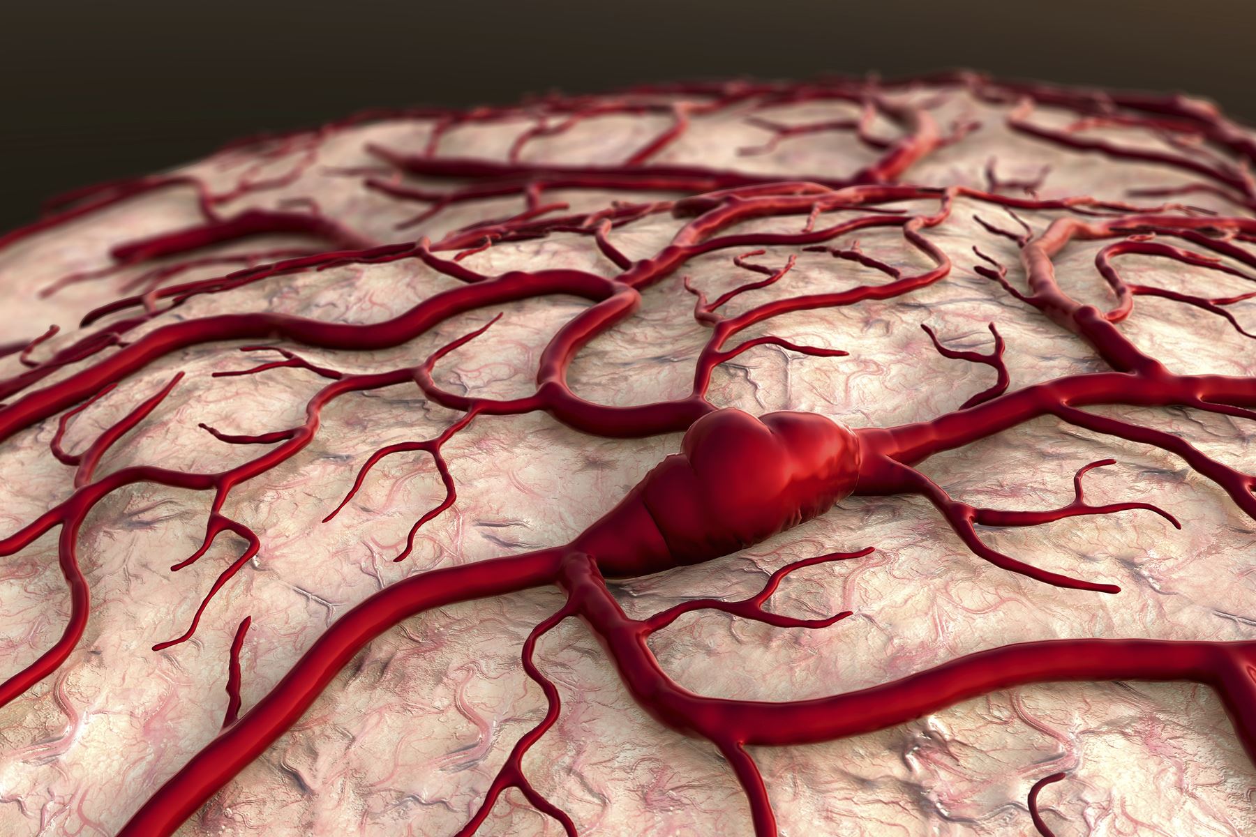 Slide 10 de 21: If your arteries, veins and capillaries were laid out end to end they would measure 100,000 km (60,000 miles). Thatâs nearly enough to stretch two and a half times around the planet!
