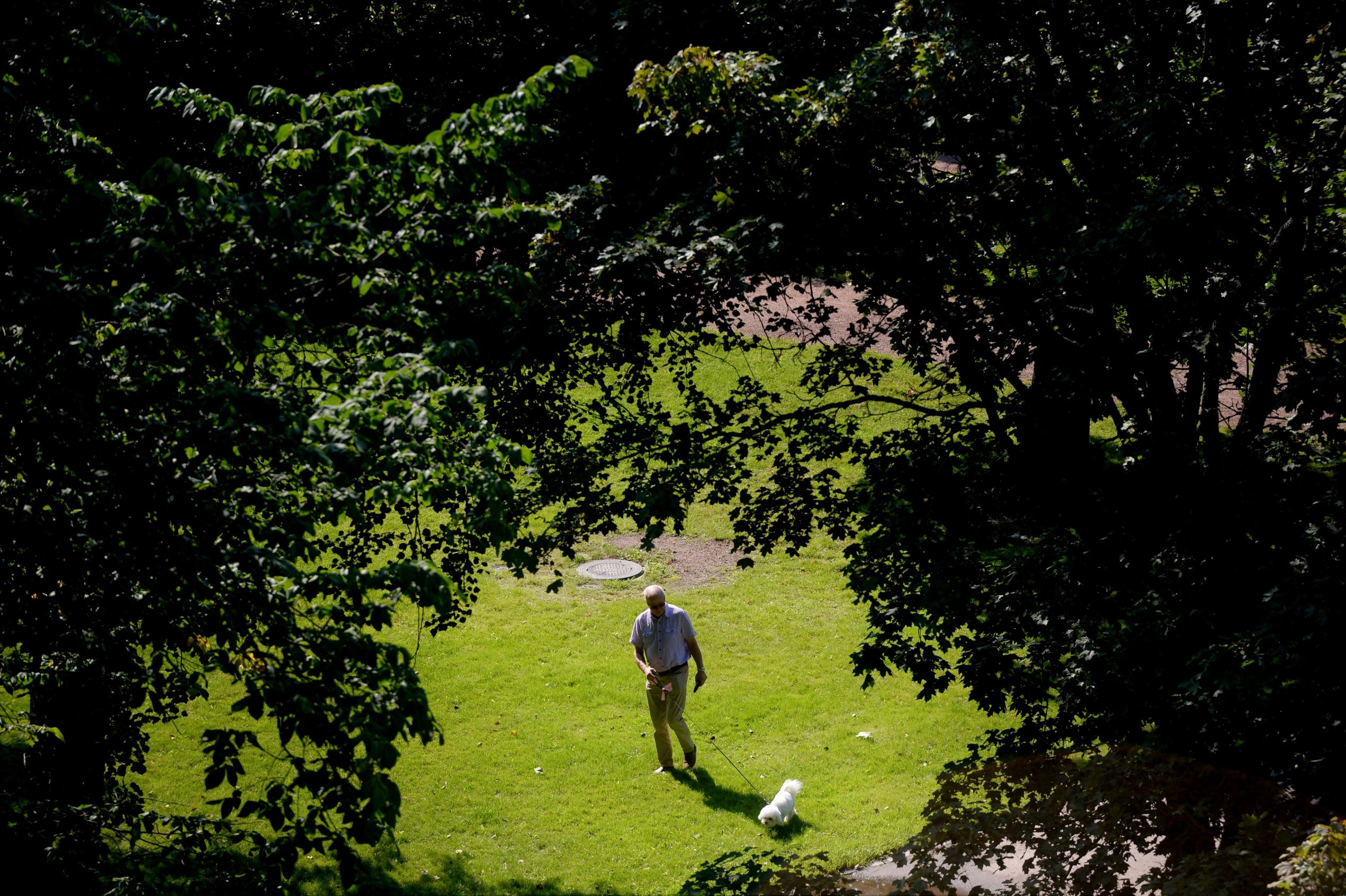 valtava kukko vittuile pillua