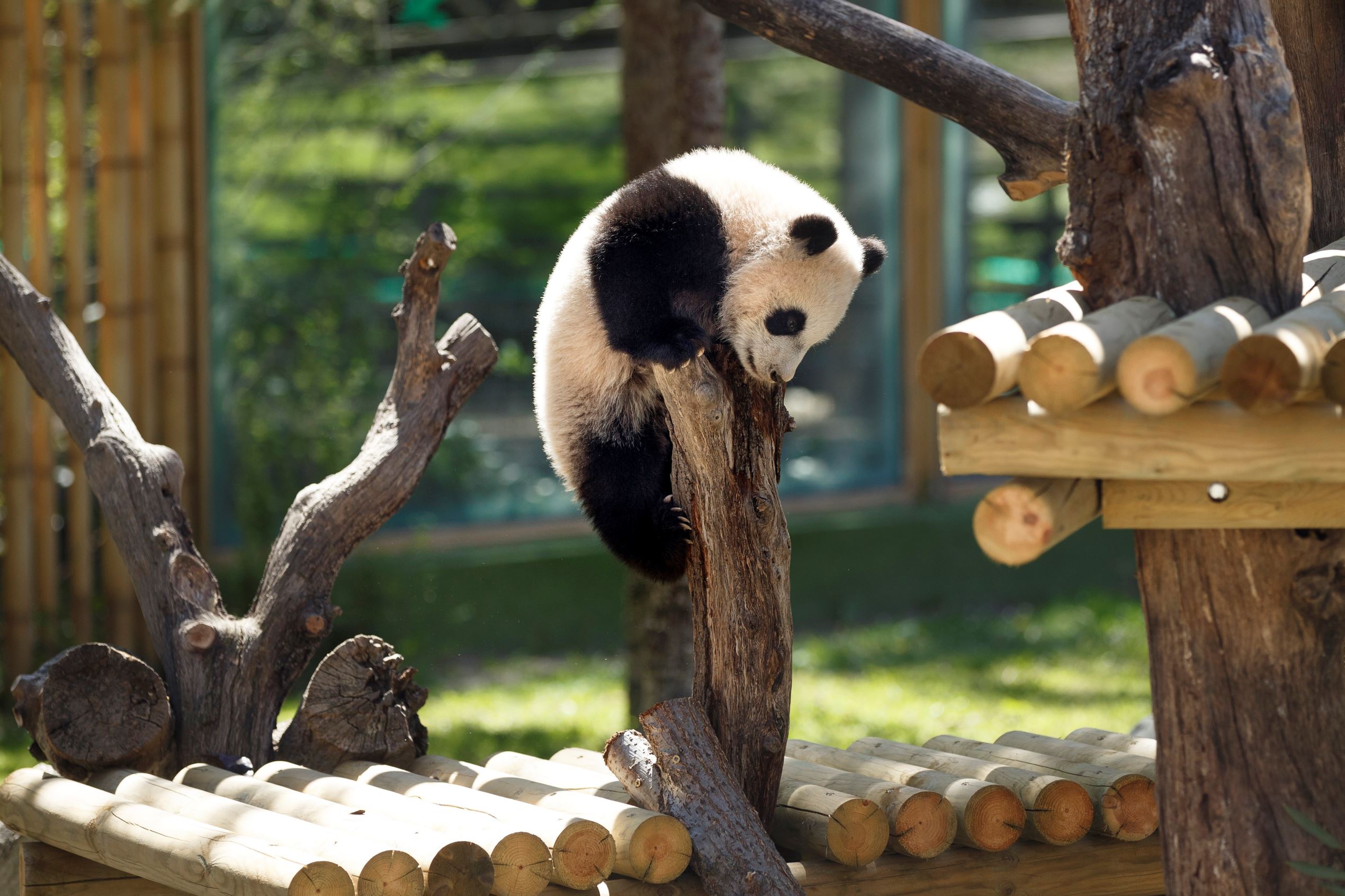 Зоопарк есть в каждом