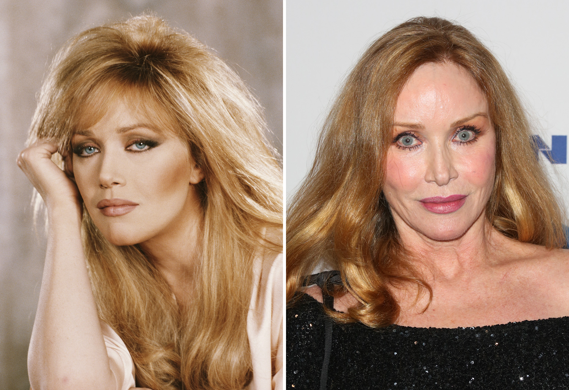 BBAPFof.img?h=582&w=1119&m=6&q=60&u=t&o=