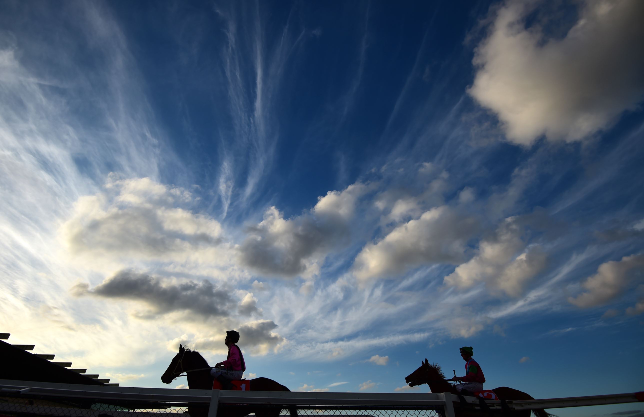 Slide 24 of 33: MELBOURNE, AUSTRALIA - JUNE 14:  Jack Martin riding The Thug and Dean Holland riding Penny to Sell return to mounting yard after Race 7 during Melbourne Racing at Sandown Hillside on June 14, 2017 in Melbourne, Australia.  (Photo by Vince Caligiuri/Getty