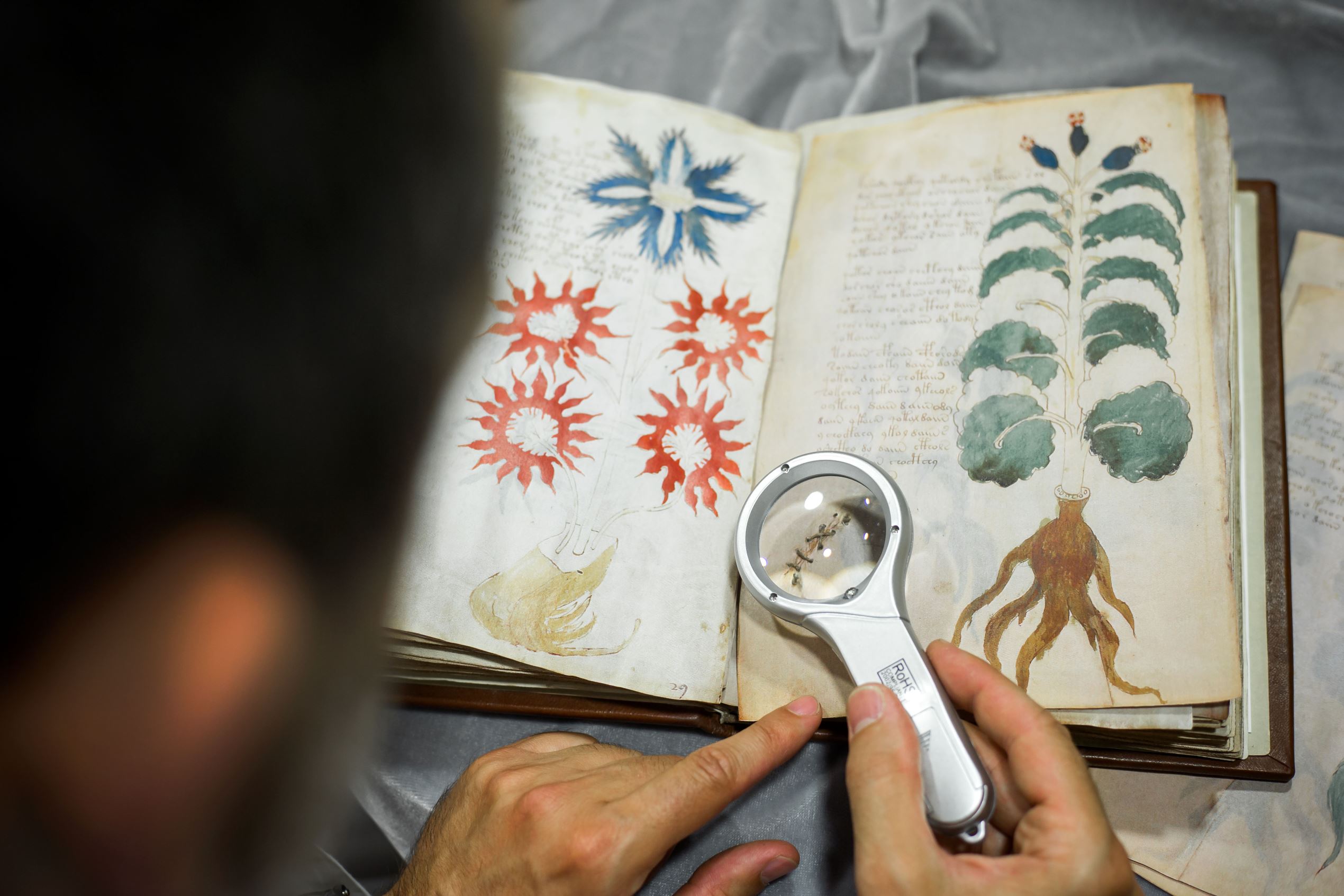 Diapositiva 2 de 27: El manuscrito de Voynich
