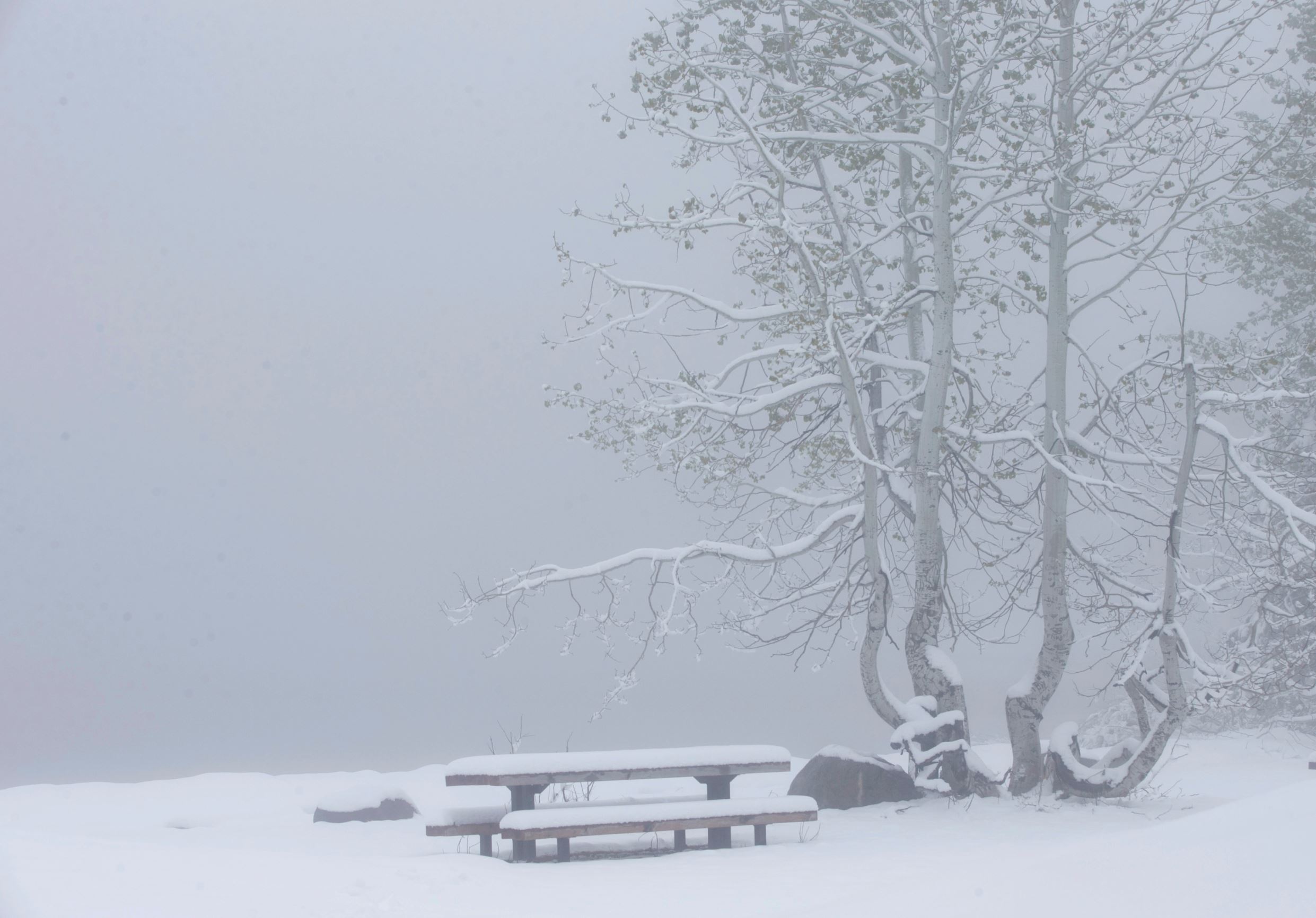 Slide 5 of 40: Snow covers a picnic table at Serene Lakes, Monday, June 12, 2017, near Soda Springs, Calif. A rare winter-like storm brought more snow to the Sierra Nevada, Monday. (AP Photo/Rich Pedroncelli)