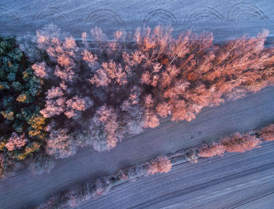 ÎÎ¹Î±ÏÎ¬Î½ÎµÎ¹Î± 22 Î±ÏÏ 100: An aerial view taken by a drone shows the warm light of the rising sun shining on the frost-covered landscape near Jacobsdorf, Germany, 31 December 2016.