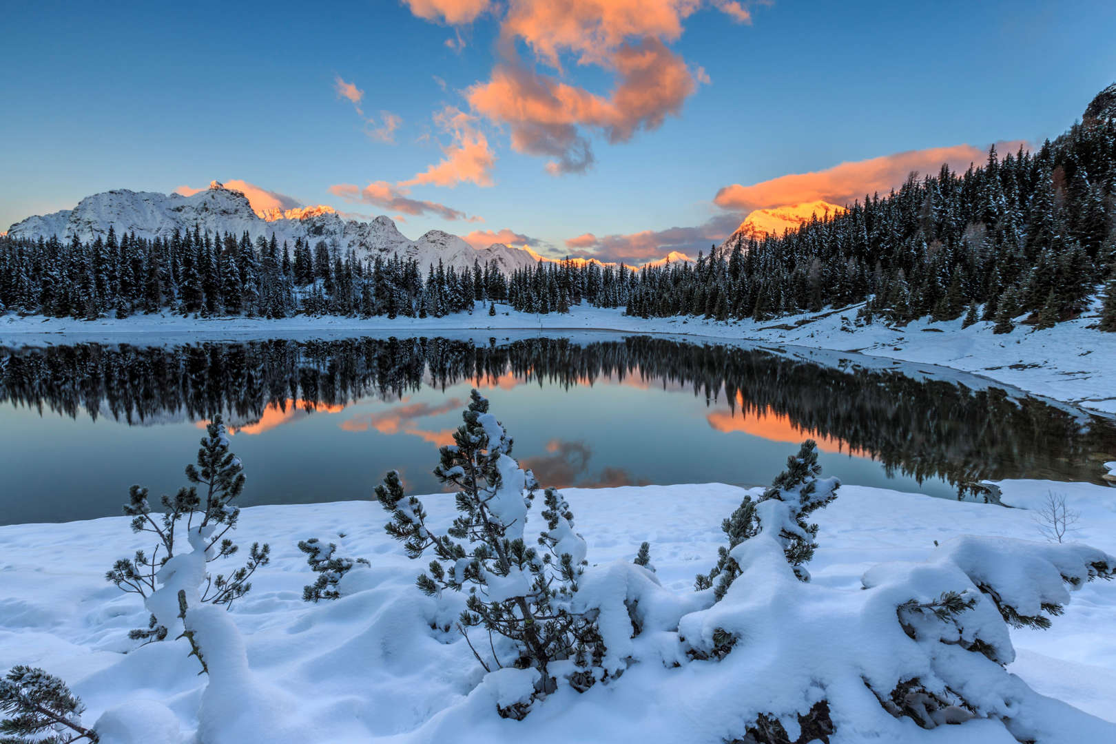 GettyImages-512487338 - Roberto Moiola / Sysaworld الشريحة 39 من 41: The colors of dawn on the snowy peaks and woods reflected in Lake Palù Malenco Valley Valtellina Lombardy Italy Europe