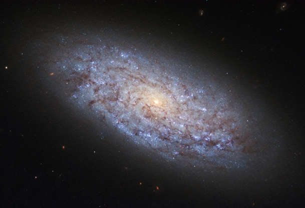 NGC 5949 - NASA/ESA/Hubble Space Telescope/Handout via Reuters Slide 11 of 86: The dwarf galaxy named NGC 5949 is seen in this NASA/ESA Hubble Space Telescope image. Image released on August 11.
