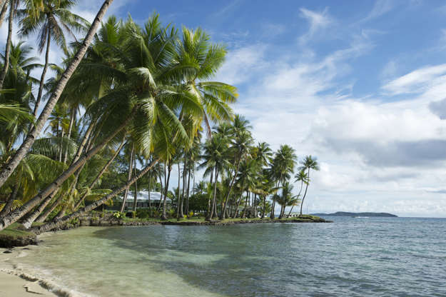 ÎÎ¹Î±ÏÎ¬Î½ÎµÎ¹Î± 7 Î±ÏÏ 51: "Palm tree  lined resort on the Island of Chuuk, Micronesia. Home of the famous ship wrecks of Truk Lagoon"