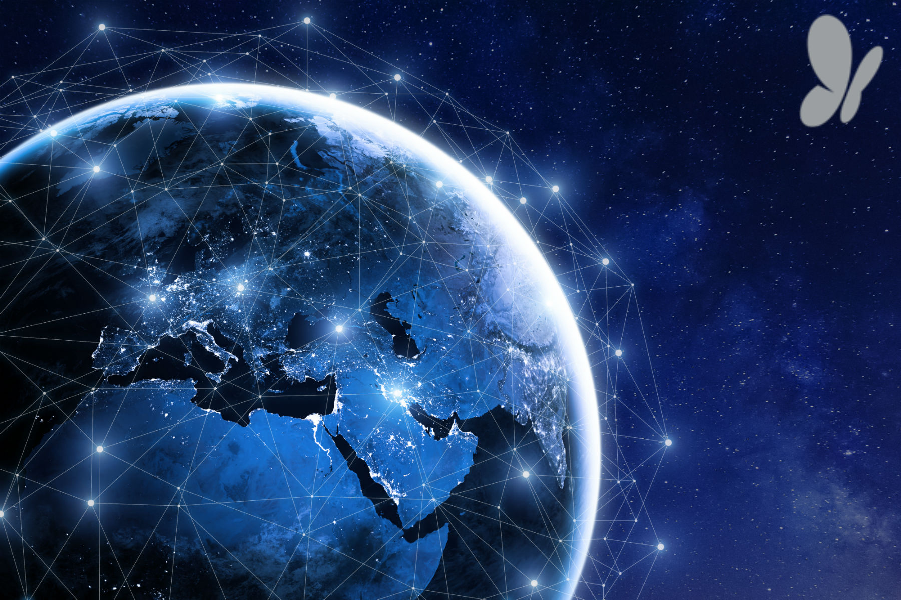 msn-international-dummy