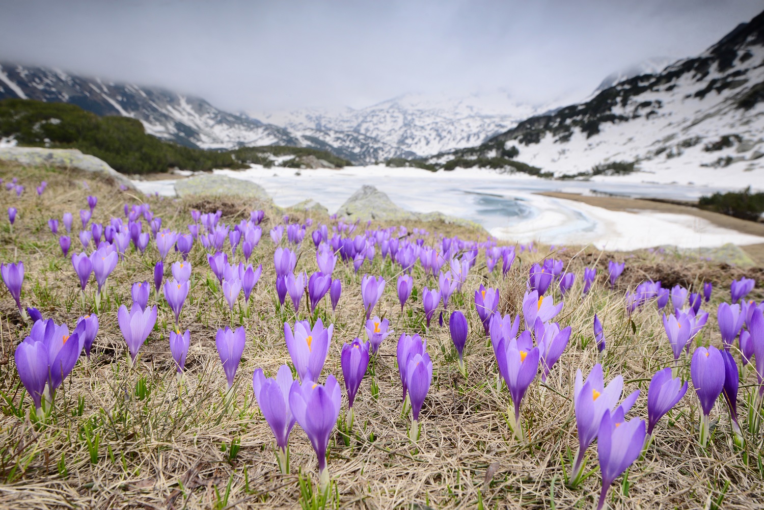 色とりどりの絶景に息をのむ 春に訪ねたい世界で一番美しい場所
