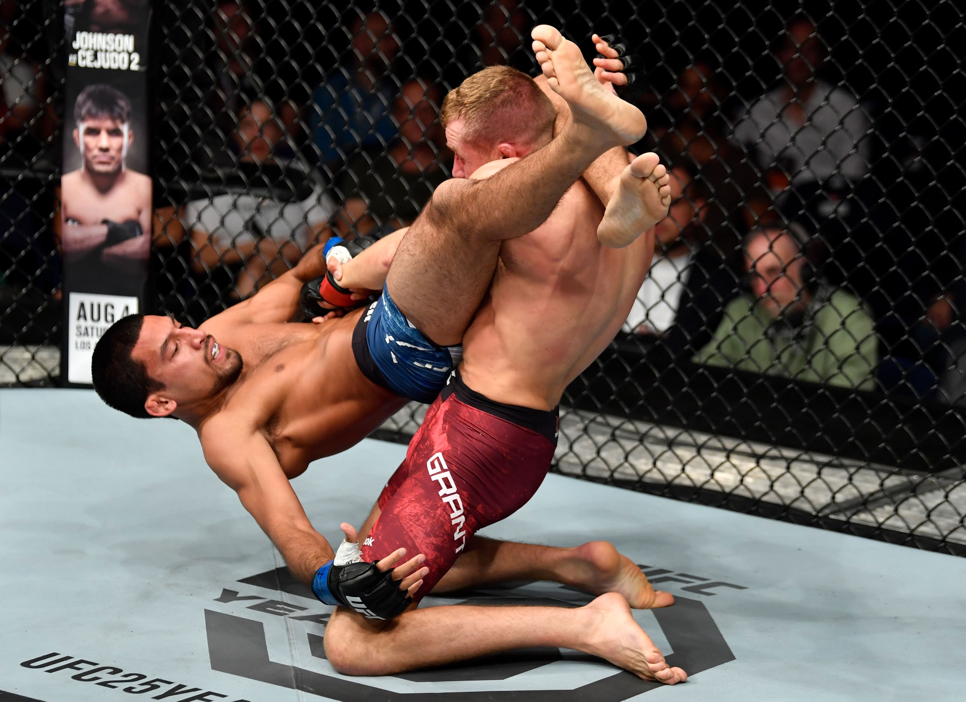 Image result for Manny Bermudez ufc