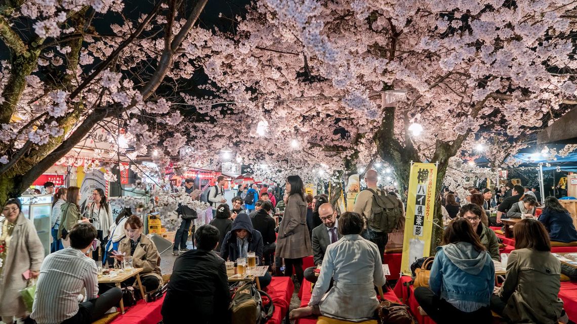 サクラに熱狂する日本人は外国人にはナゾだ 日本的な美意識を英語で説明できますか