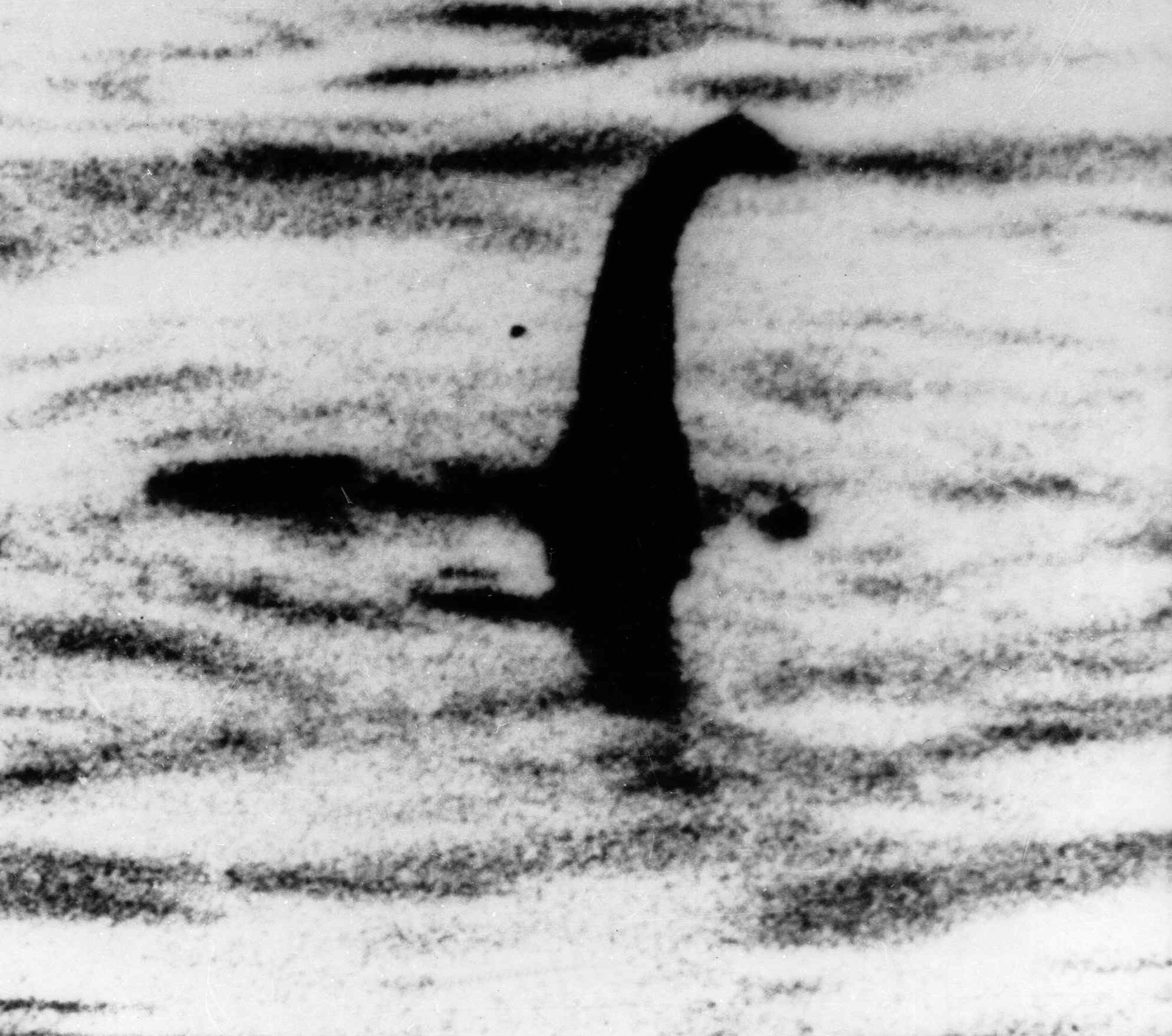 Slide 16 de 16: FILE -This is an undated file photo of a shadowy shape that some people say is a photo of the Loch Ness monster in Scotland. What lurks beneath the dark waters of Scotland's Loch Ness? New documents show that as late as the 1930s, police in Scotland thought some sort of creature inhabited the Highlands lake. Police were so sure of its existence that they worried about how to protect it from hunters. Files released Tuesday April 27, 2010 from the National Archive of Scotland show that local officials asked Britain's Parliament to investigate the issue and confirm the monster's existence - in the interests of science. Lawmakers were skeptical. (AP Photo, File)