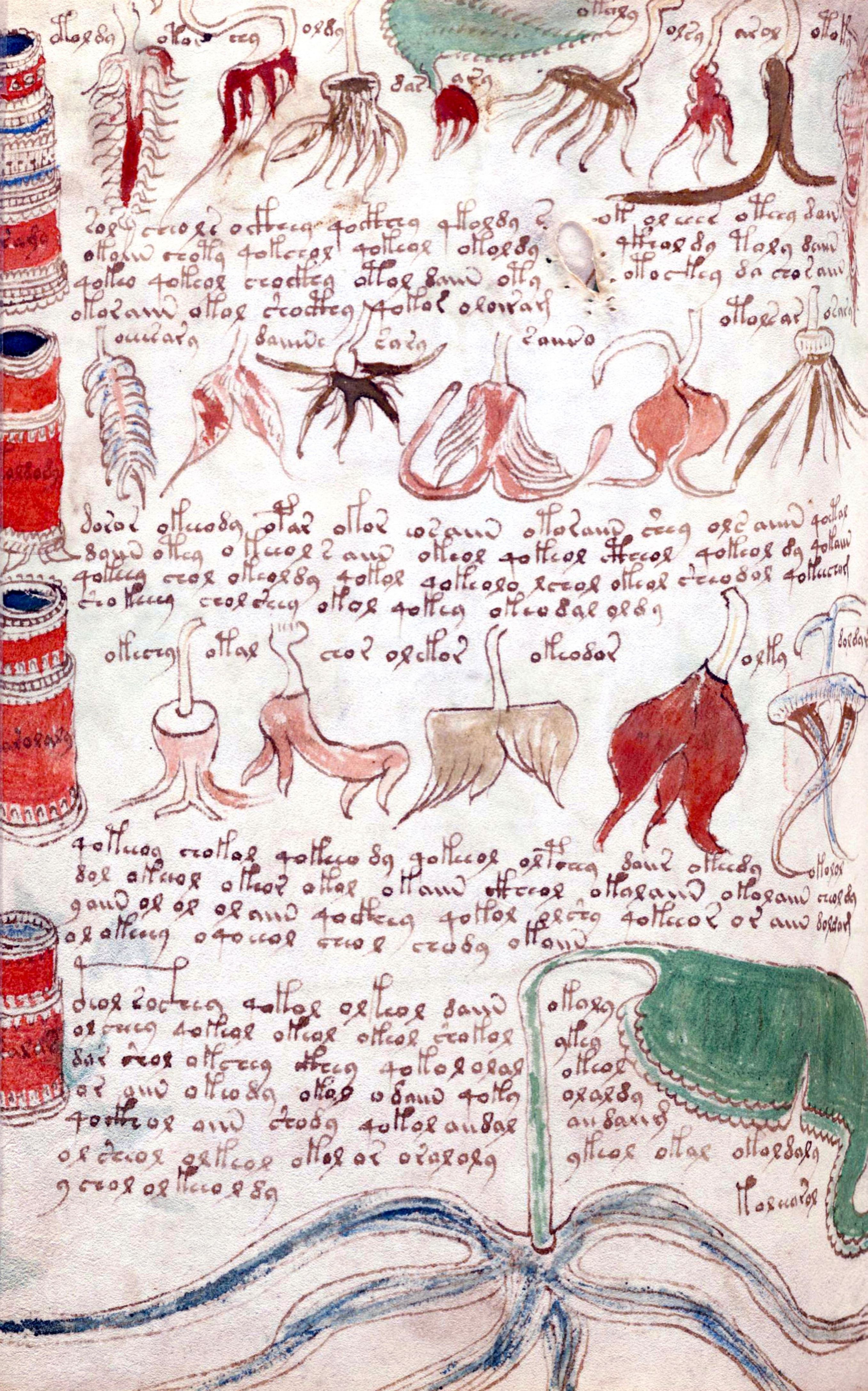 Slide 3 de 16: The Voynich Manuscript is considered by scholars to be most interesting and mysterious document ever found. Dated 16th century (Photo by: Universal History Archive/UIG via Getty images)