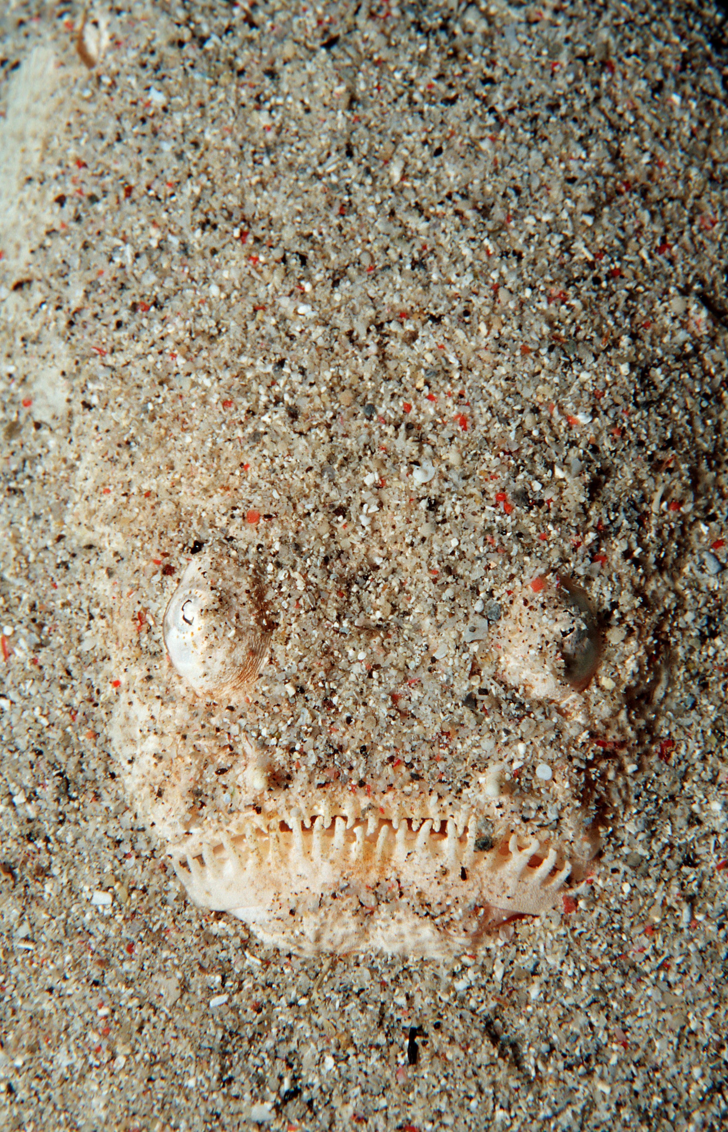 BBLiLc9.img