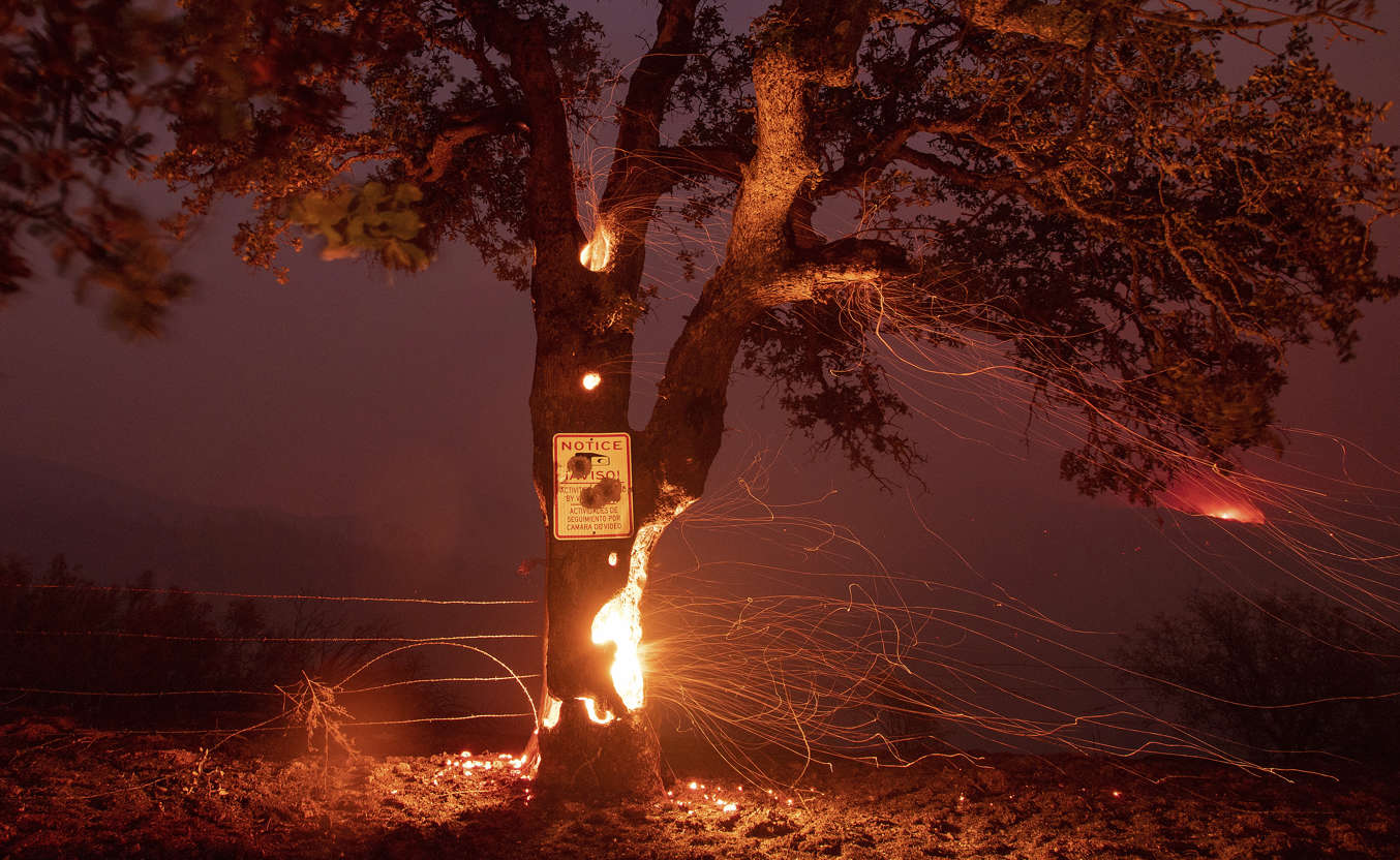 Slide 2 of 95: A tree burns from the inside during the Ranch Fire in Clearlake Oaks, Calif., on Sunday, Aug. 5, 2018.