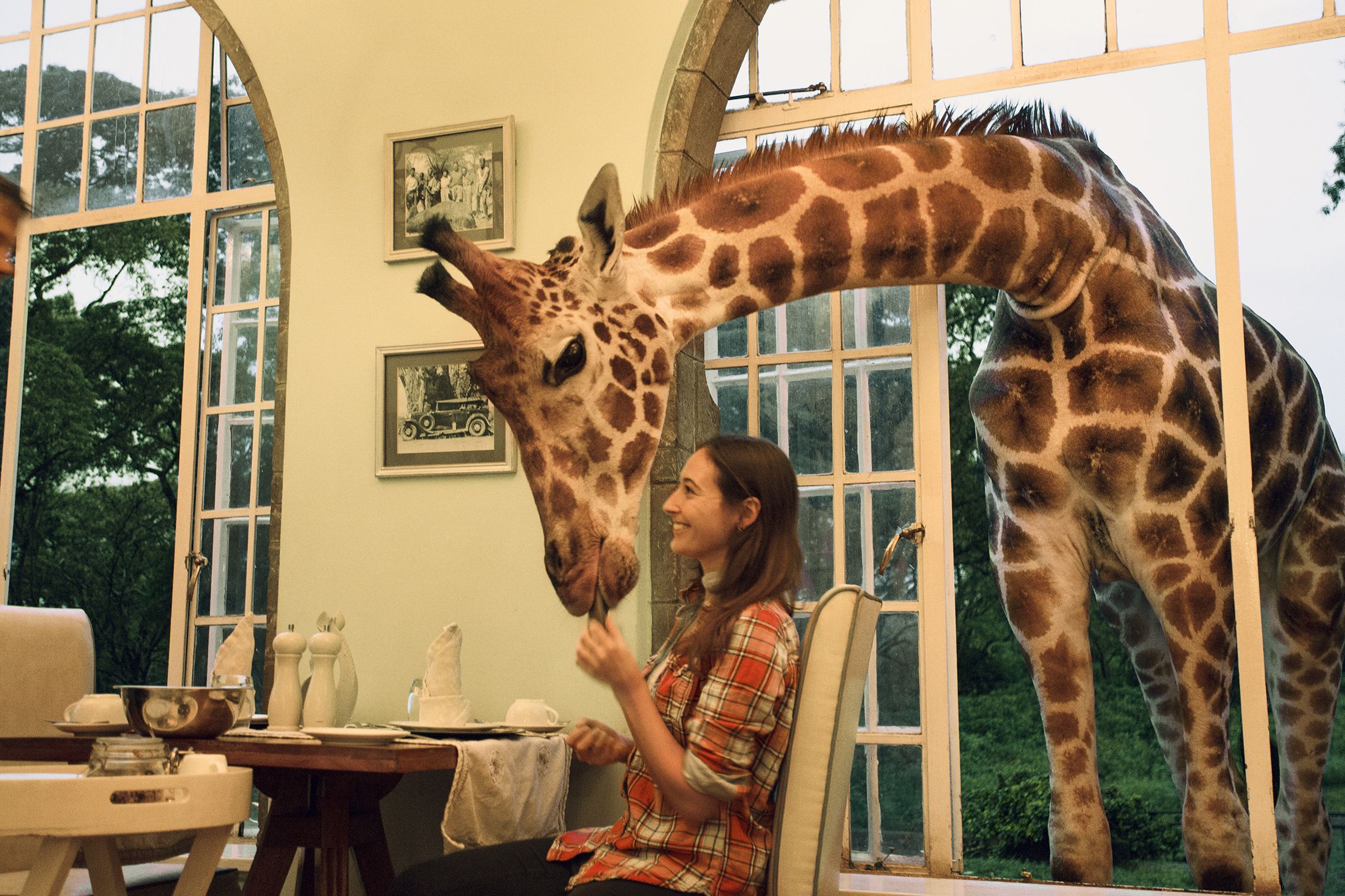 åç 11 /å± 22 å¼µ