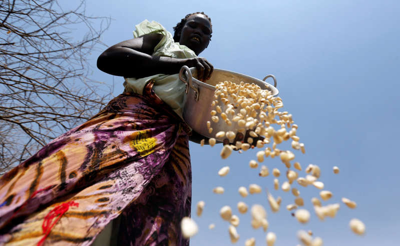 File Photo: A South Sudanese refugee winnows maize grains