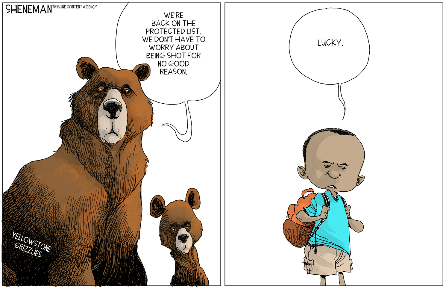 Slide 55 of 92: Drew Sheneman/Tribune Content Agency