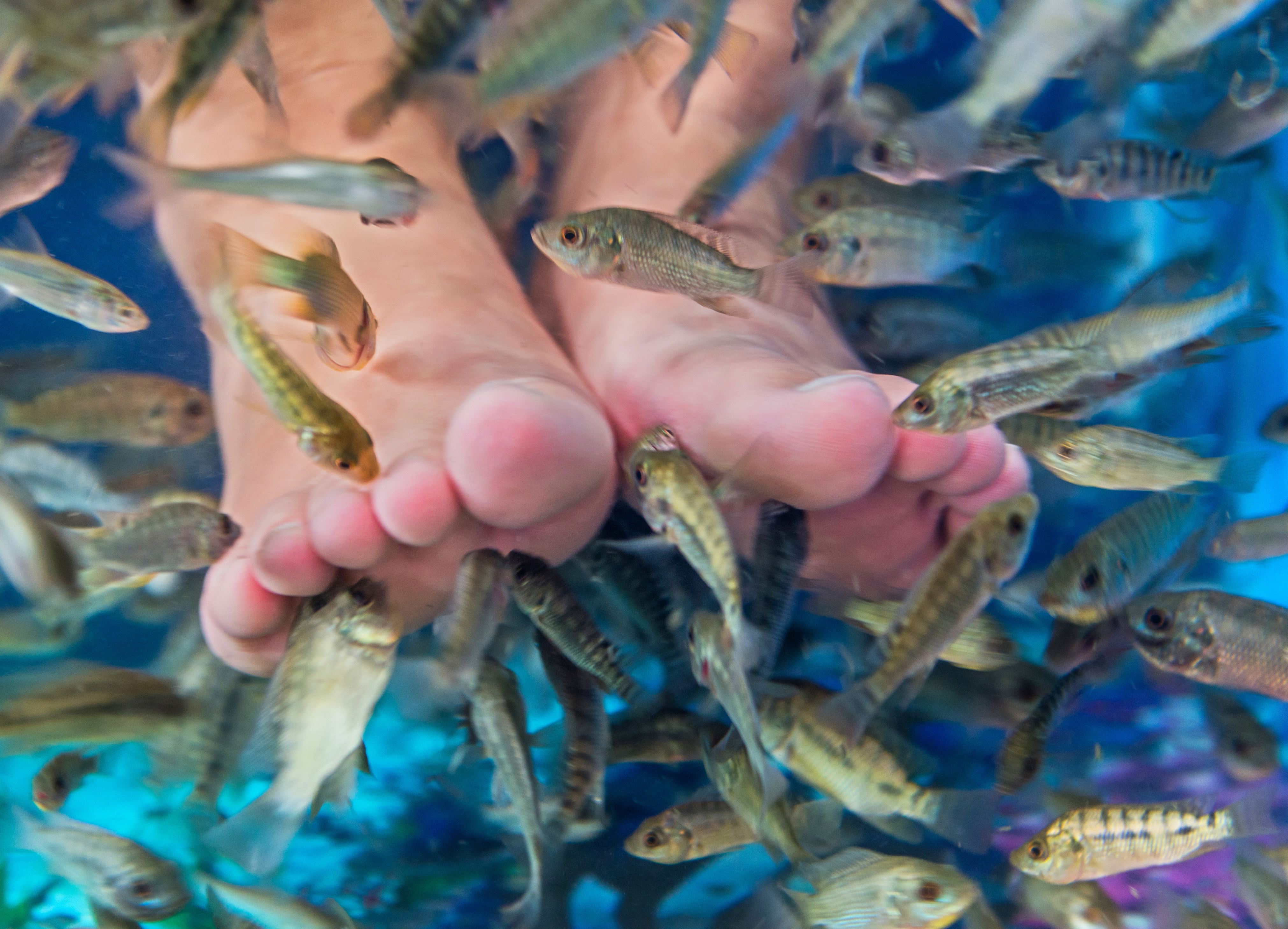 Woman Loses Toes to 'Fish Pedicure' Gone Horribly Wrong