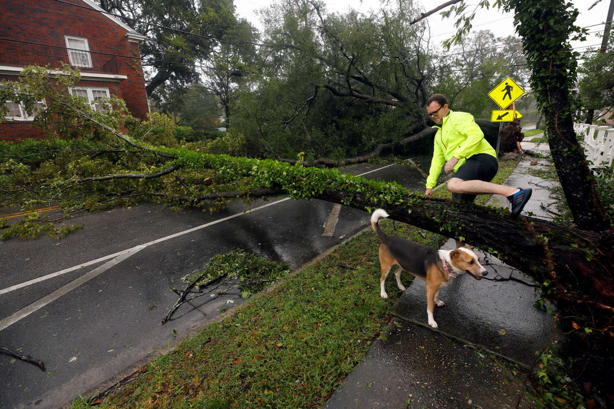 Slide 3 of 69: A resident climbs over a tree that fell onto a road as he tours his neighborhood after Hurricane Florence hit Wilmington, North Carolina, U.S., September 14, 2018. REUTERS/Jonathan Drake - RC14C0444D00