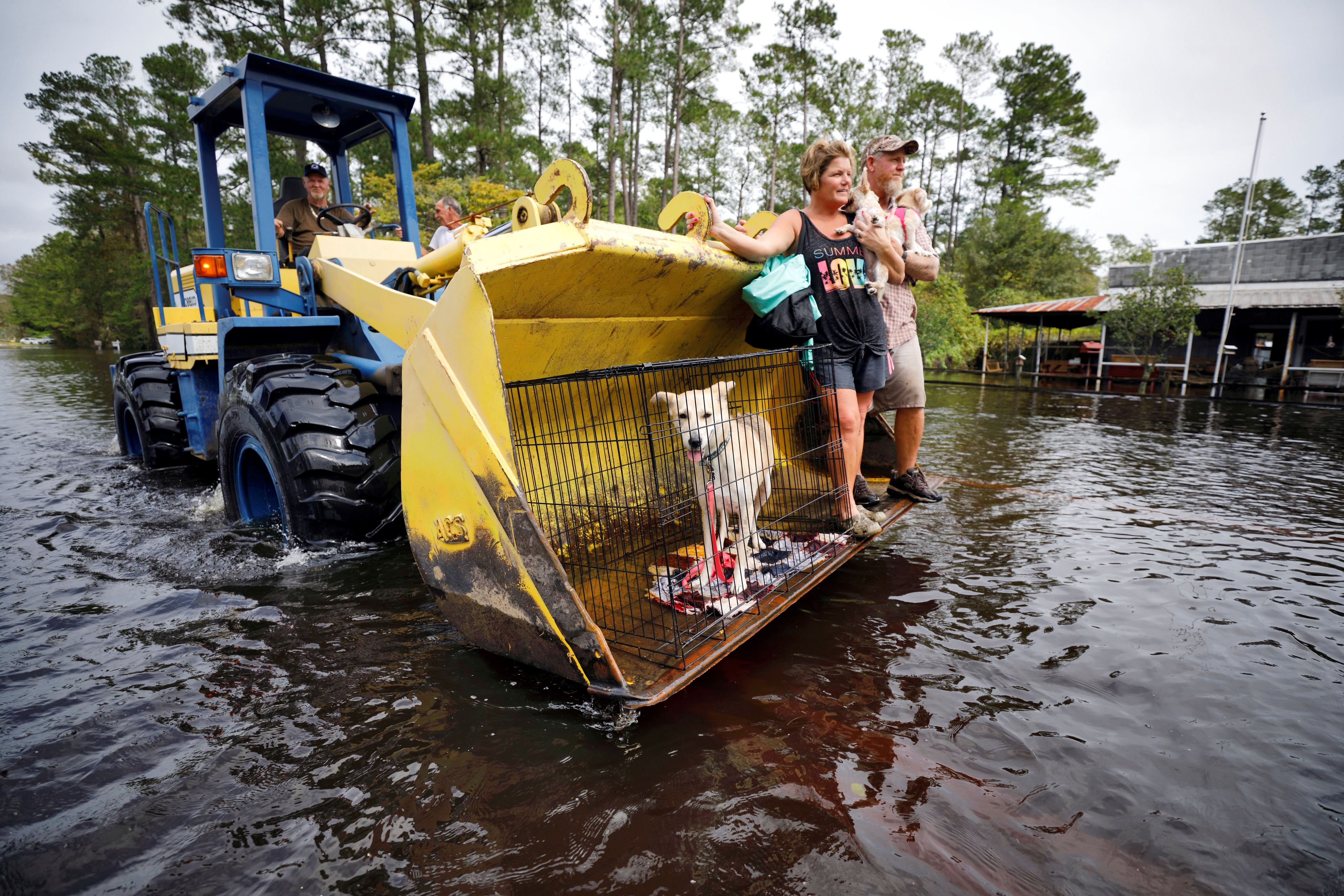 Diapositiva 15 de 55: Jimmy Shackleford, de 74 aÃ±os, de Burgaw transporta a su hijo Jim Shackleford y su esposa Lisa, y sus mascotas Izzy, Bella y Nala (en la jaula) en el cubo de su tractor mientras el noreste del rÃ­o Cape Fear River rompe sus riberas durante las inundaciones despuÃ©s del huracÃ¡n Florence en Burgaw, Carolina del Norte.