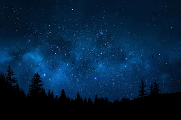 Slide 1 de 15: Landscape showing trees against magical and starry night sky full of stars