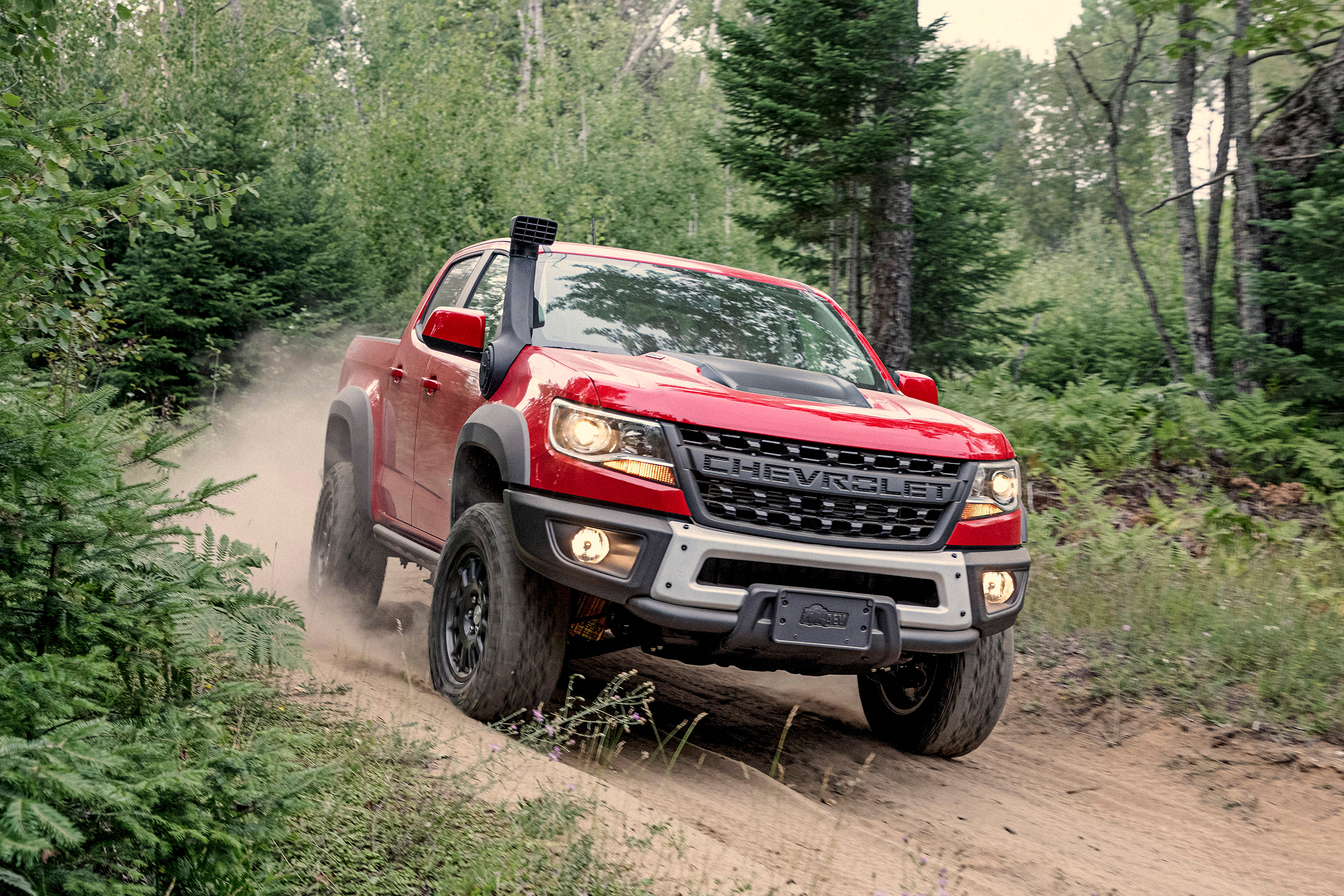 2019 Chevrolet Colorado 2WD Work Tru...