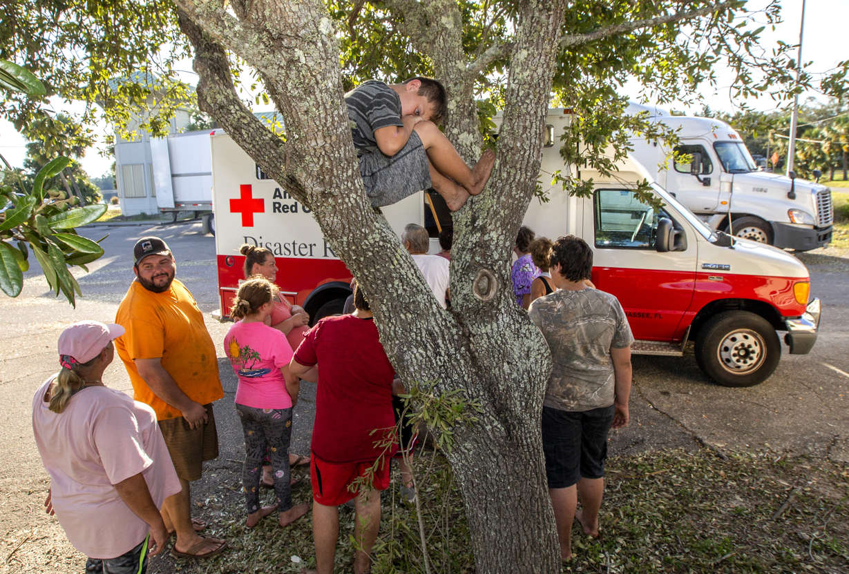 Slide 2 of 92: Jayce Thompson, 10, sits in a tree and waits as residents line up for food at a Red Cross truck on October 12, 2018 in Carrabelle, Florida. At least 17 people have died across the South since Hurricane Michael made landfall along the Florida Panhandle Wednesday as a Category 4 storm. (Photo by Mark Wallheiser/Getty Images)