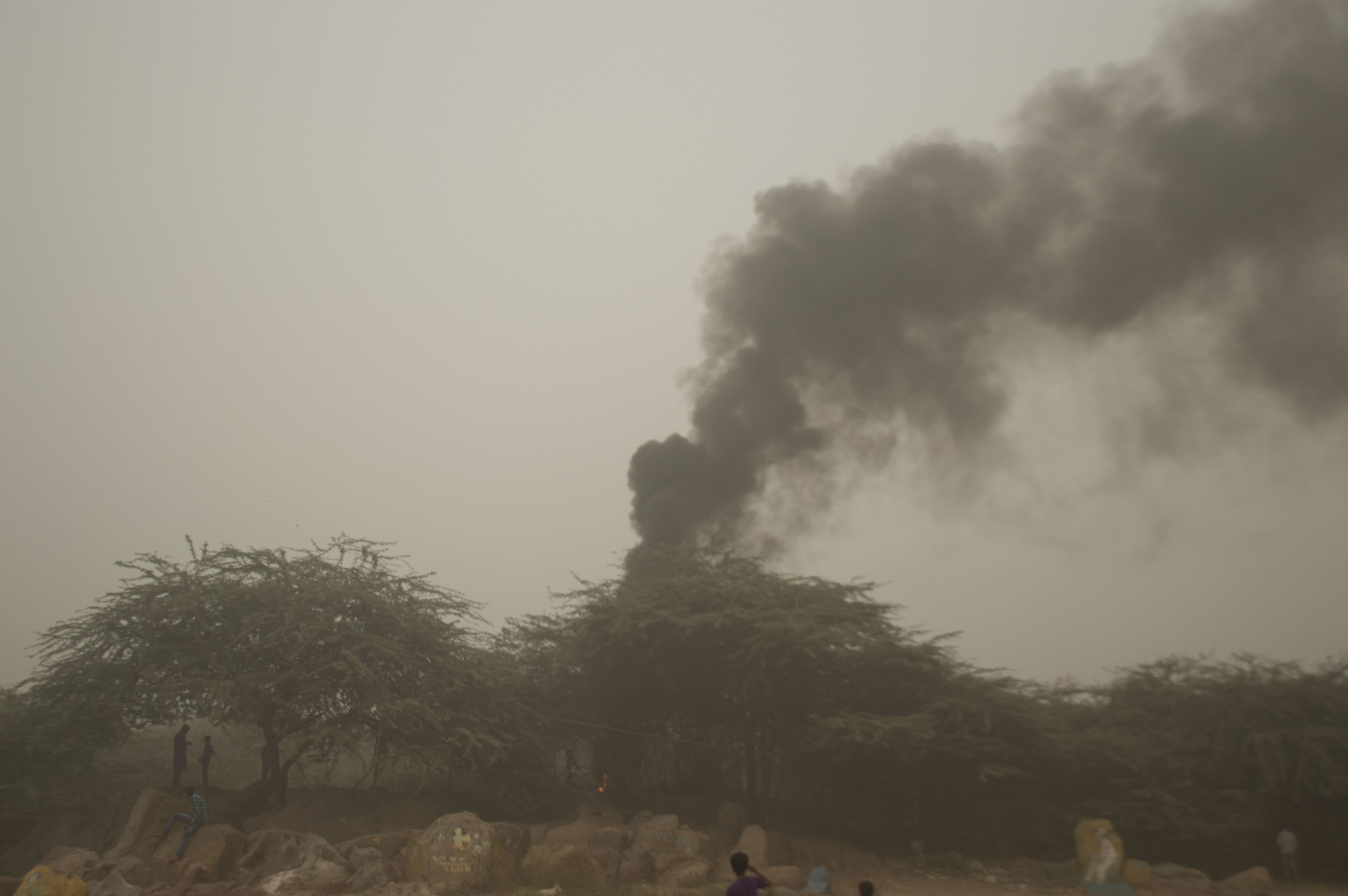 Delhi's plan to tackle pollution