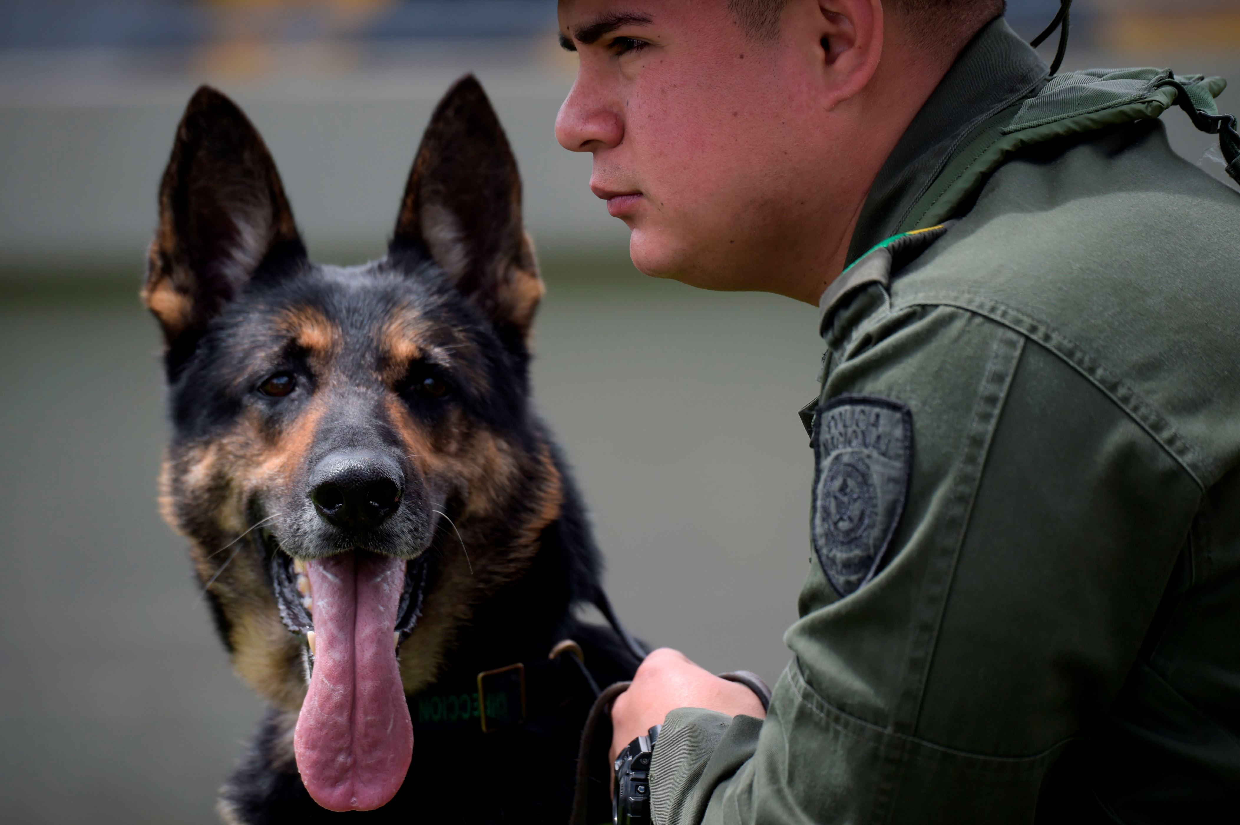 En Inspección Subacuática Buzos Encuentran 120 Paquetes De