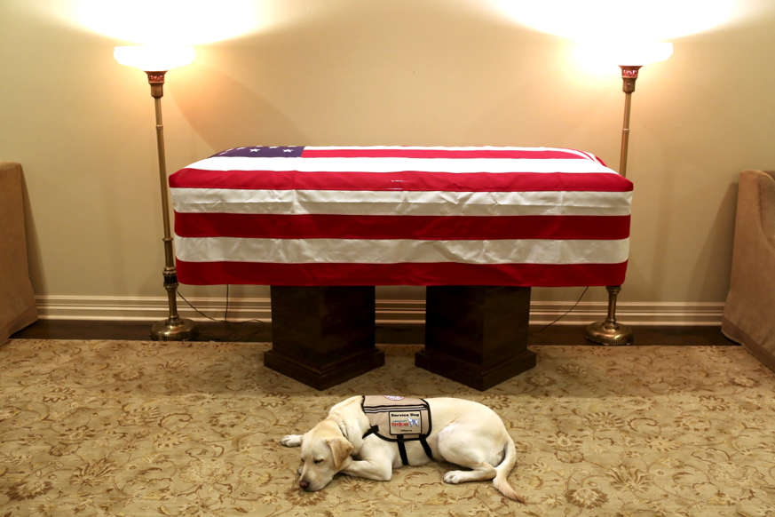 Slide 1 of 37: Sully, the service dog of former U.S. President George H.W. Bush in his final months, lays in front of Bush's casket at the George H. Lewis & Sons funeral home in Houston, Texas, U.S., December 3, 2018. Courtesy Office of George H. W. Bush-Evan Sisley/Handout via REUTERS